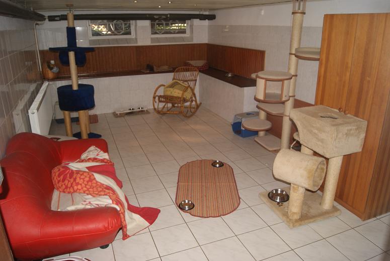 Foto da galeria de Katzenhotel kleiner Tiger